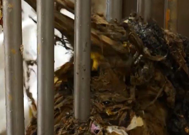 “매일 습관처럼 썼는데” 끔찍한 ‘참사’ 터진다…현대인의 필수품, 결국 ‘불법’ 딱지 [지구, 뭐래?]