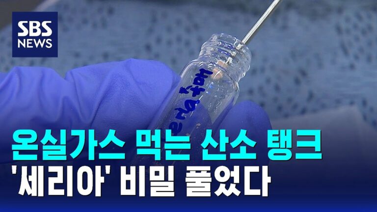 온실가스 먹는 산소 탱크…’세리아’ 밝혀진 비밀은? / SBS