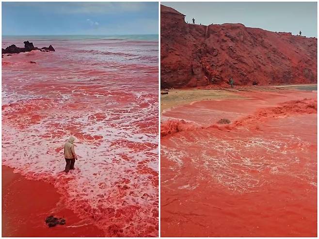 유럽 덮친 사하라 먼지…‘블러드 레인’ 현상 잇따라